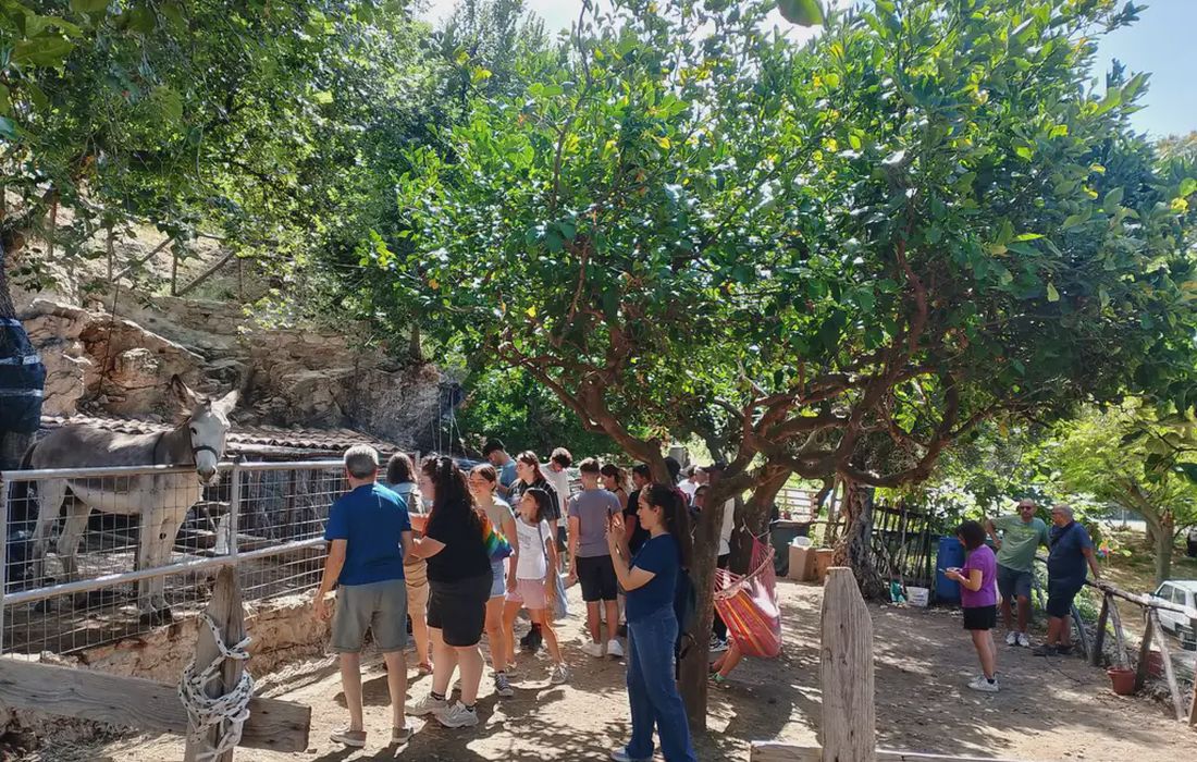 Fattoria didattica in Calabria a Paola