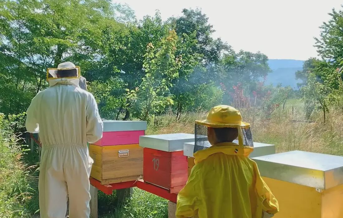 Apicoltore per un giorno sul lago di Garda a Caprino Veronese