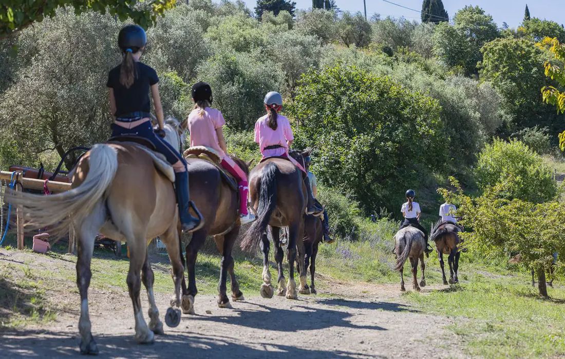 Passeggiata a cavallo con picnic a Gambassi Terme