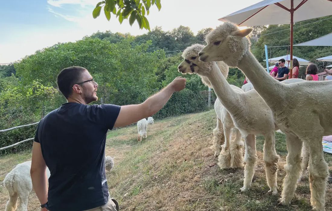 Picnic con gli alpaca a Borgo San Lorenzo