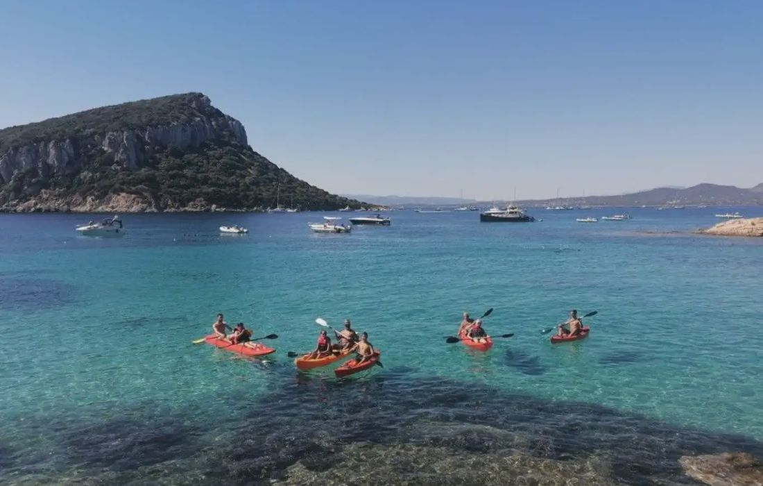 Tour in kayak con avvistamento delfini e aperitivo a Golfo Aranci