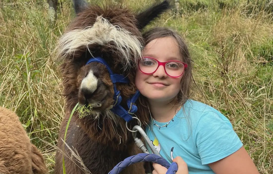 Passeggiata con alpaca privata vicino a Genova a Sant'Olcese