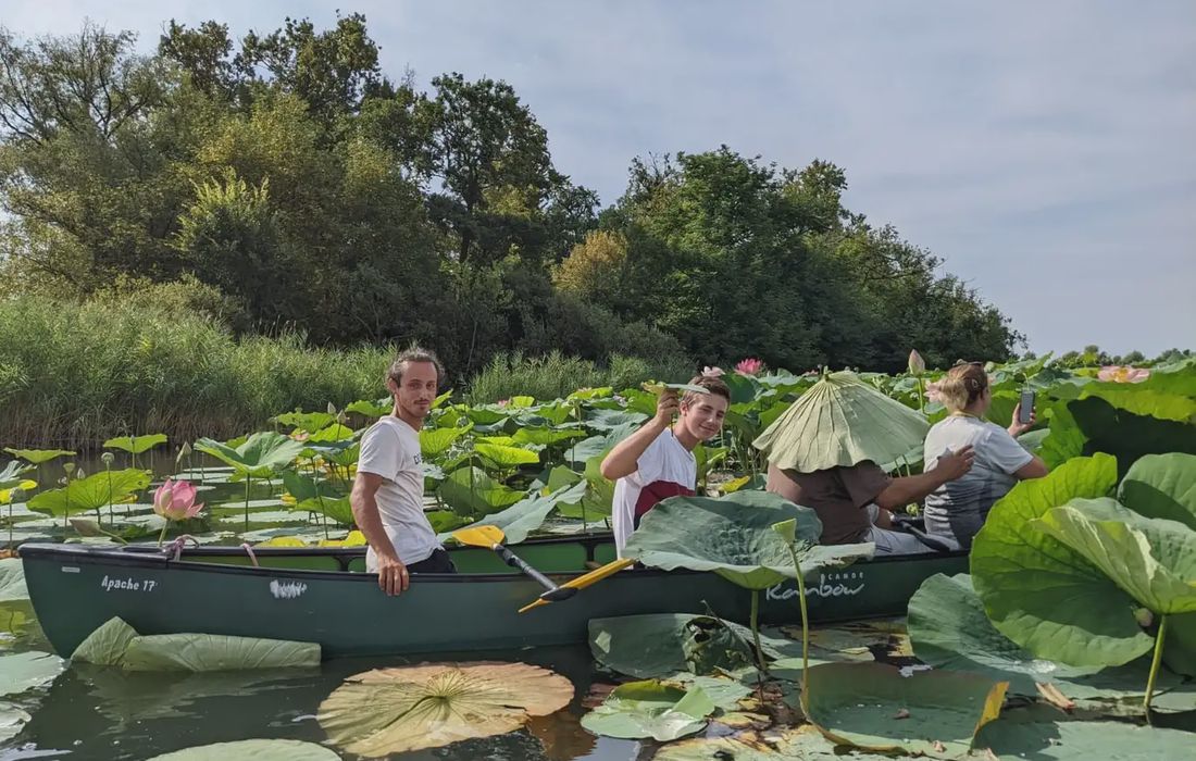 Tour in canoa canadese sul Lago di Varese all'Isolino Virginia a Biandronno