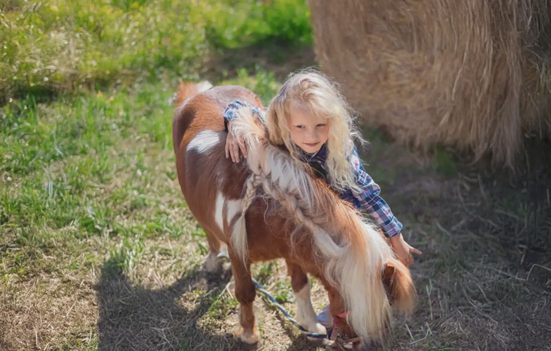Esperienza con pony sulle colline di Sanremo a Sanremo