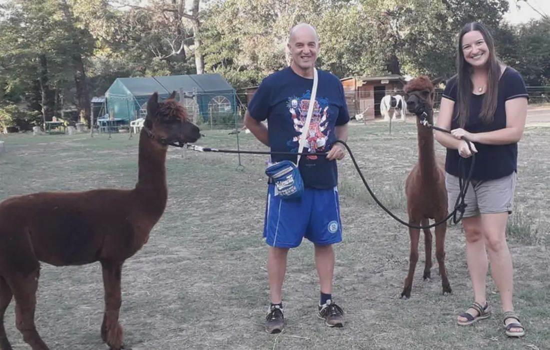 Passeggiata con gli alpaca e le pecore più piccole del mondo a Senigallia