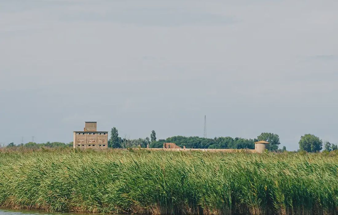 Escursione in barca a Scano Boa nel Parco del Delta del Po a Porto Tolle