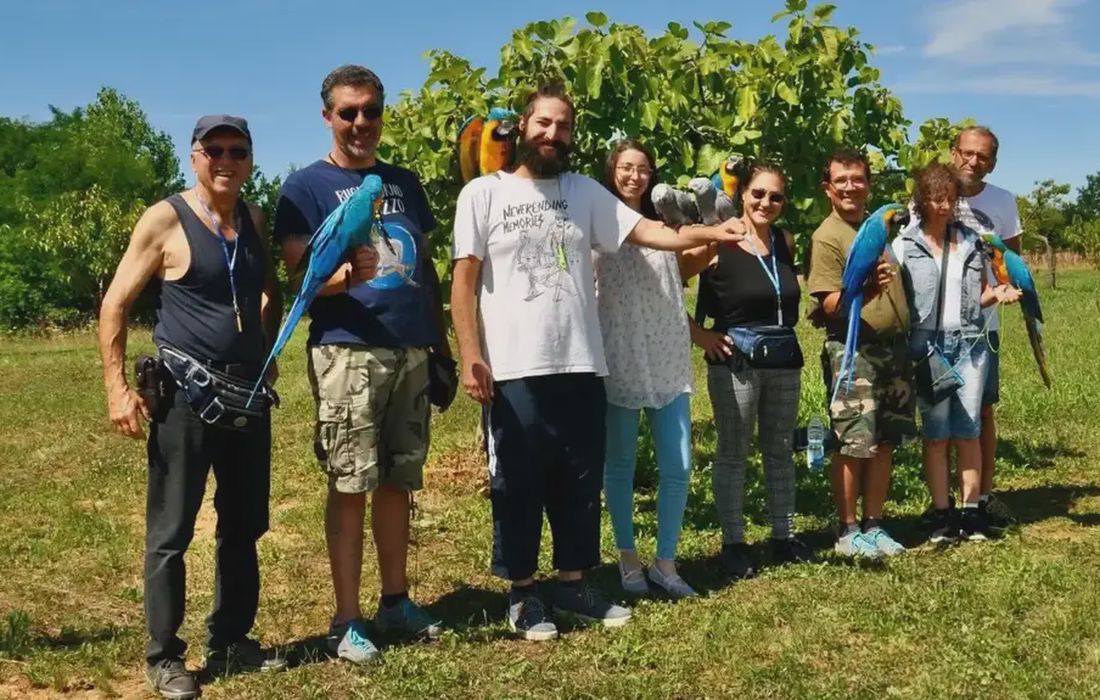 Passeggiata esotica con pappagalli  a Verrua Po