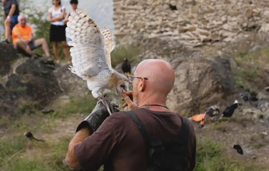 Falconiere per un giorno in Val di Susa vicino a Torino a Bussoleno