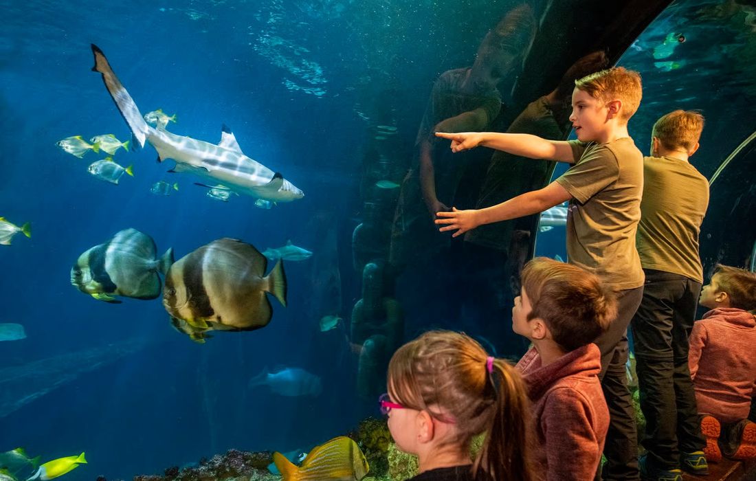SEA LIFE München a München