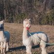 Esperienze nella natura in Lombardia per famiglie con bambini