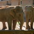 Bioparchi e zoo da visitare  in Italia