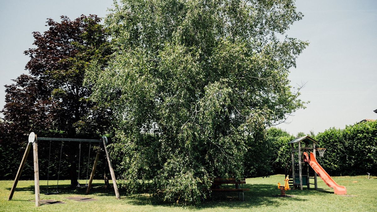   - Hotel La Meridiana a Castelnuovo del Garda