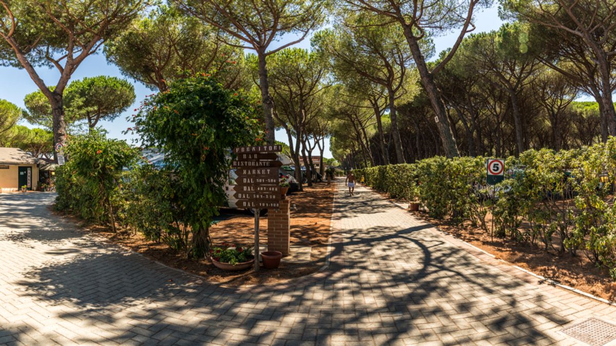   - Camping Voltoncino a Albinia Orbetello