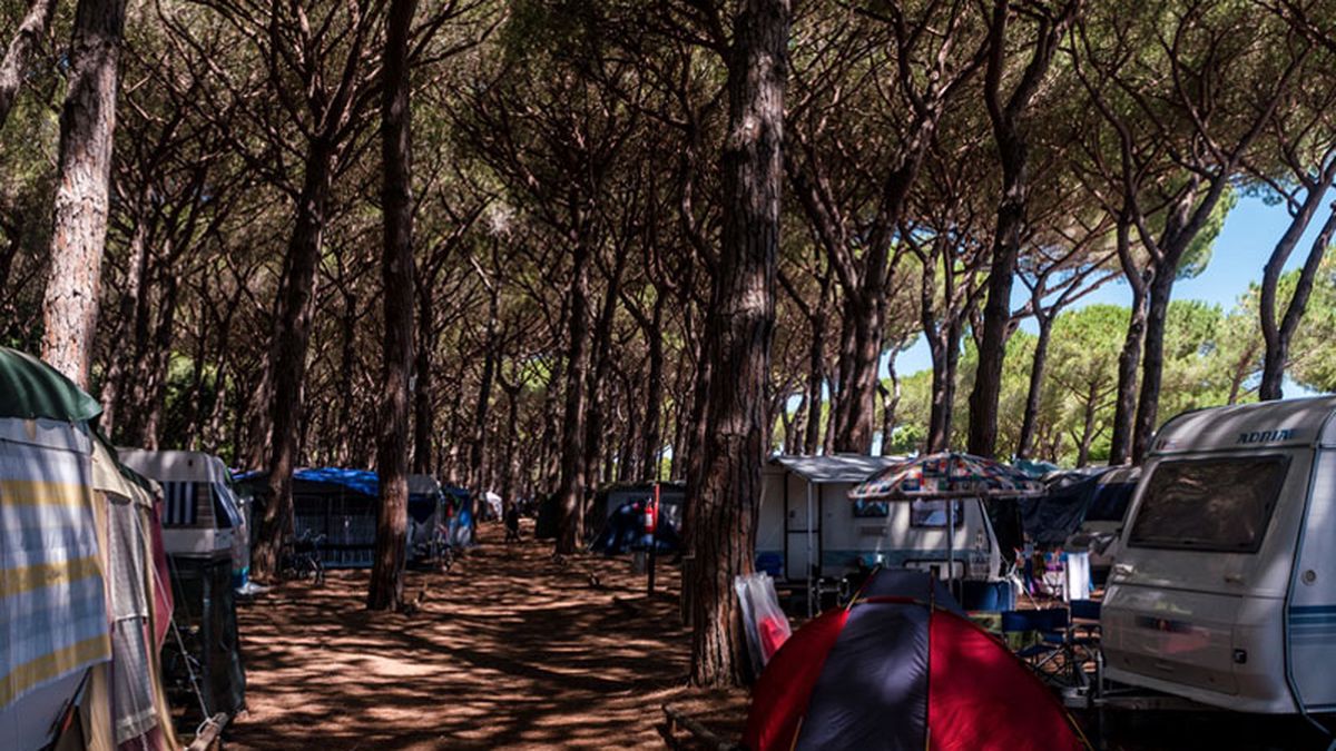   - Camping Voltoncino a Albinia Orbetello