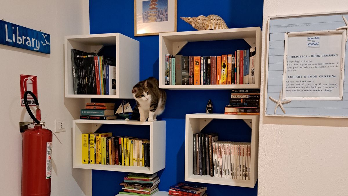  biblioteca con il gatto di casa - Residence Mareblù a Principina a mare