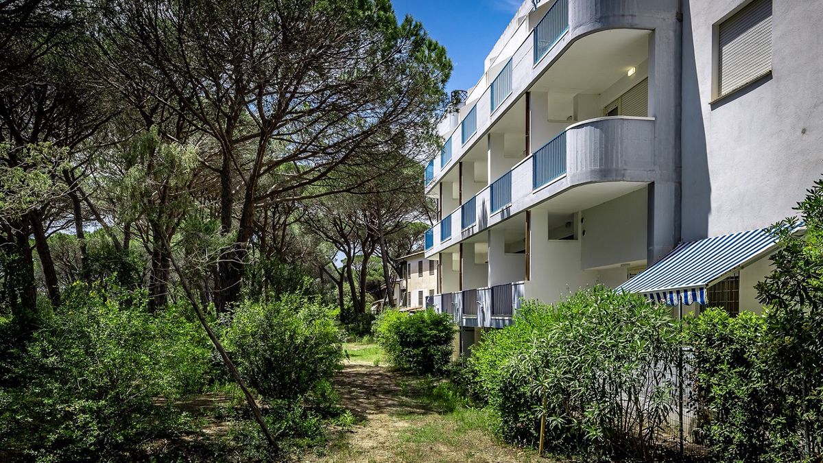  sentiero in pineta - Residence Mareblù a Principina a mare