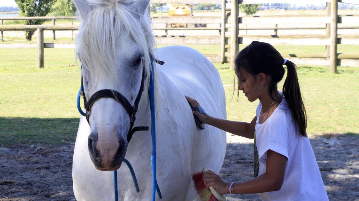   - Club Village & Hotel Spiaggia Romea a Comacchio