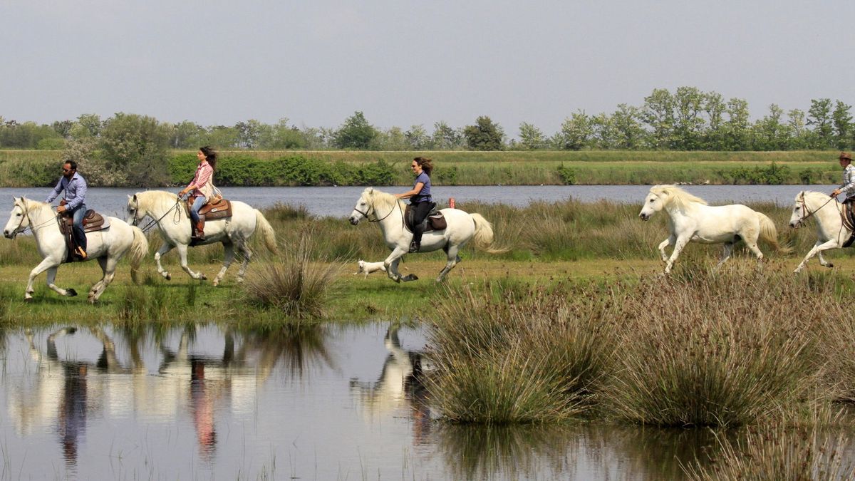   - Club Village & Hotel Spiaggia Romea a Comacchio