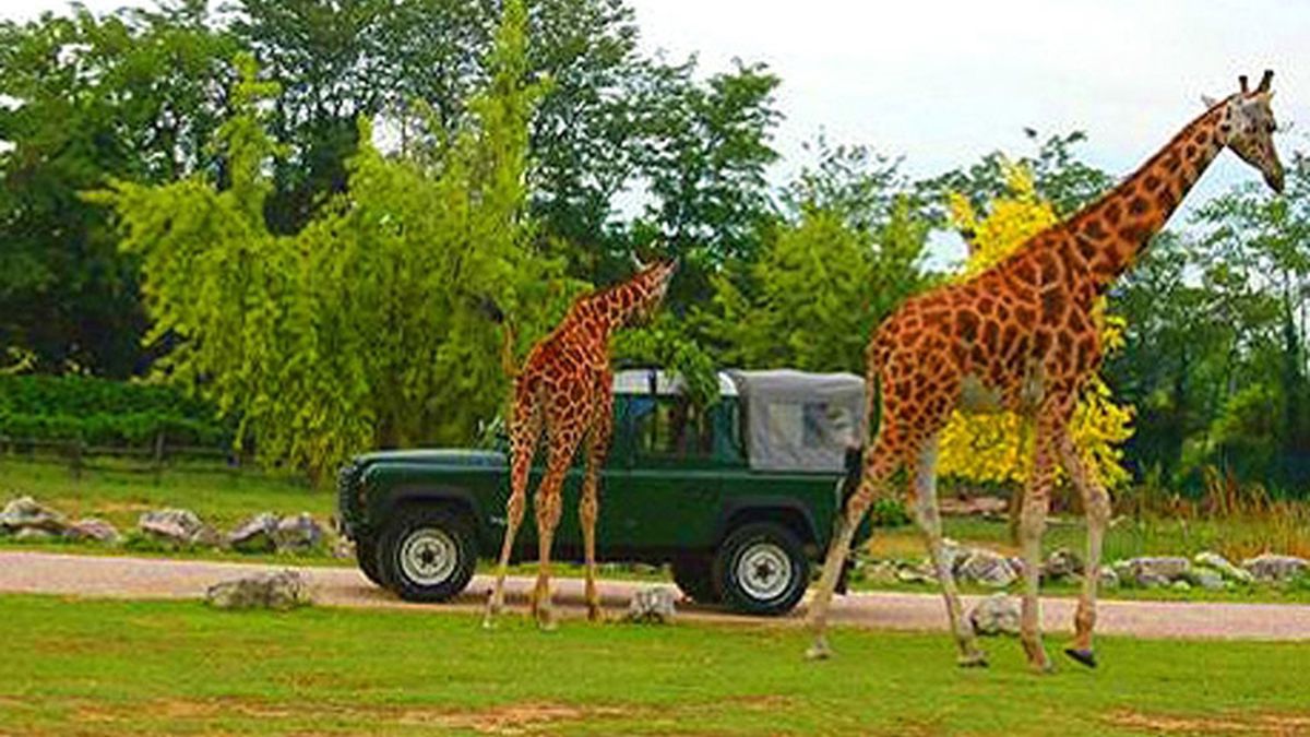 natura viva safari park bussolengo