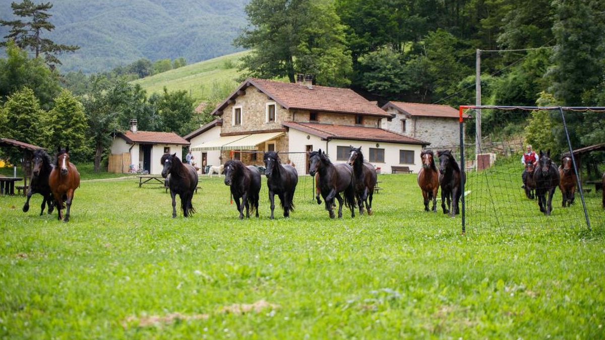   - Agriturismo Carovane a Compiano