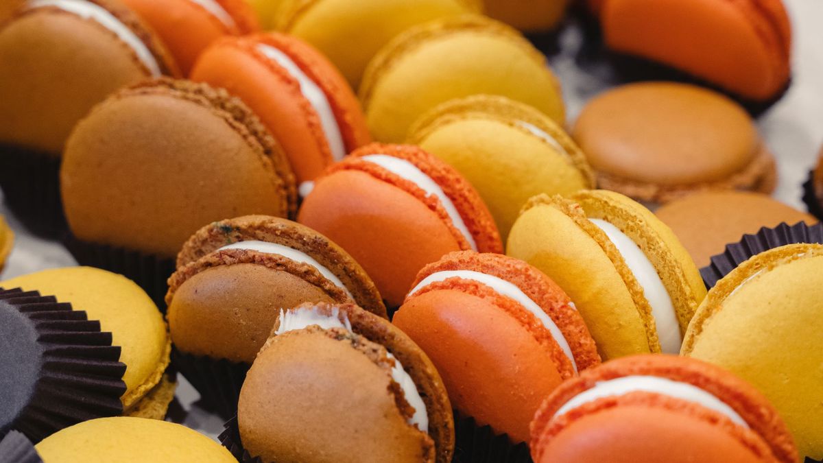   - Grand Hotel Piz Galin family & Wellness a Andalo