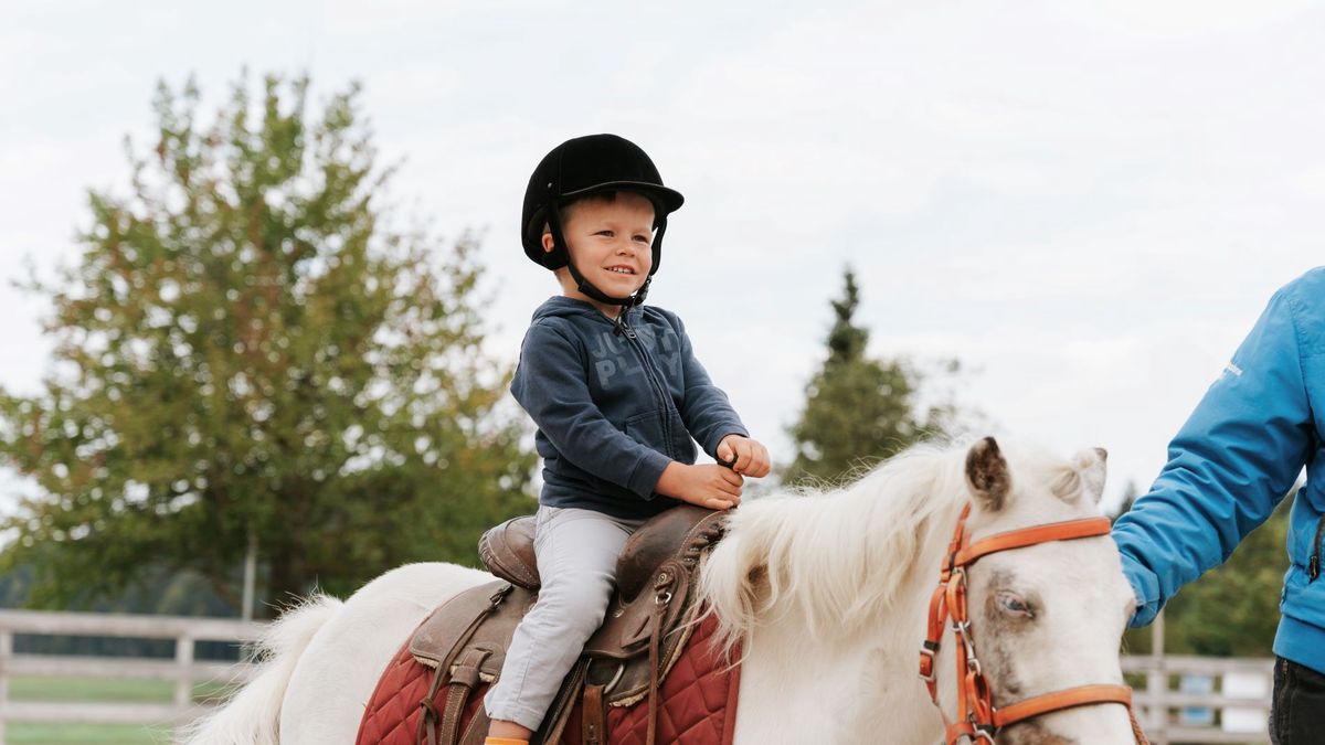   - Grand Hotel Piz Galin family & Wellness a Andalo