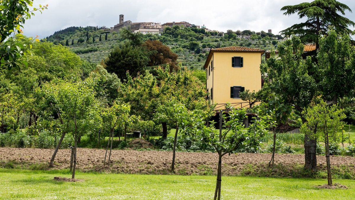   - Casale vacanze Il Granaio a Cortona