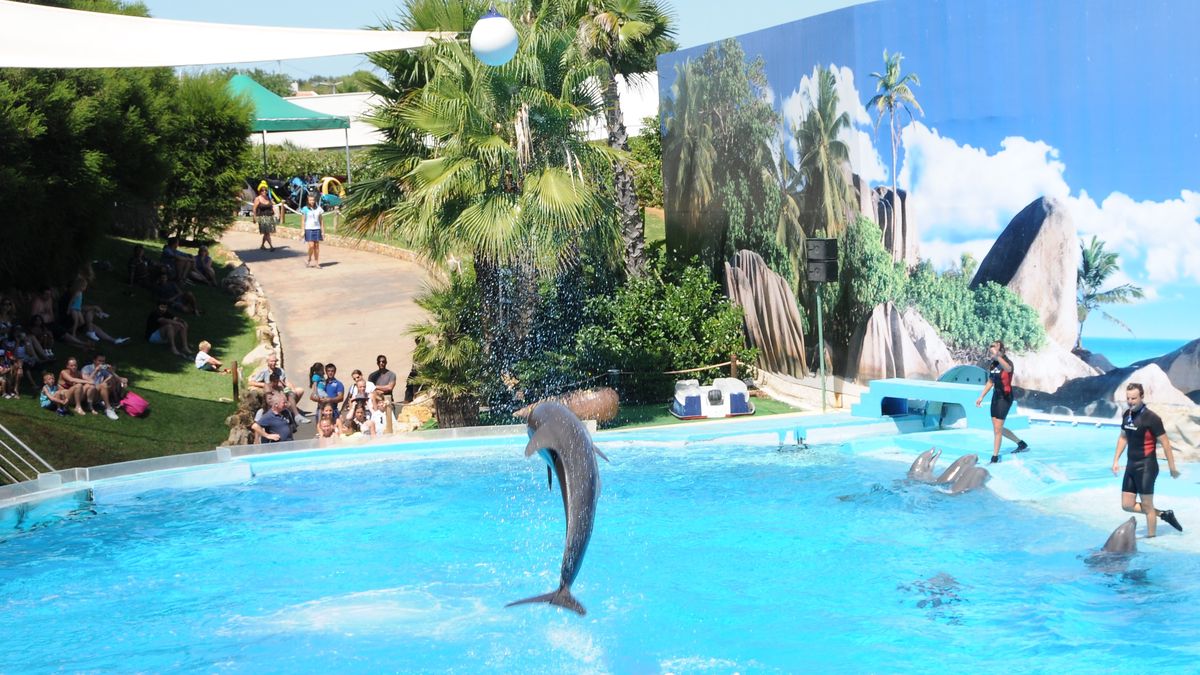   - Parco Zoomarine a Pomezia