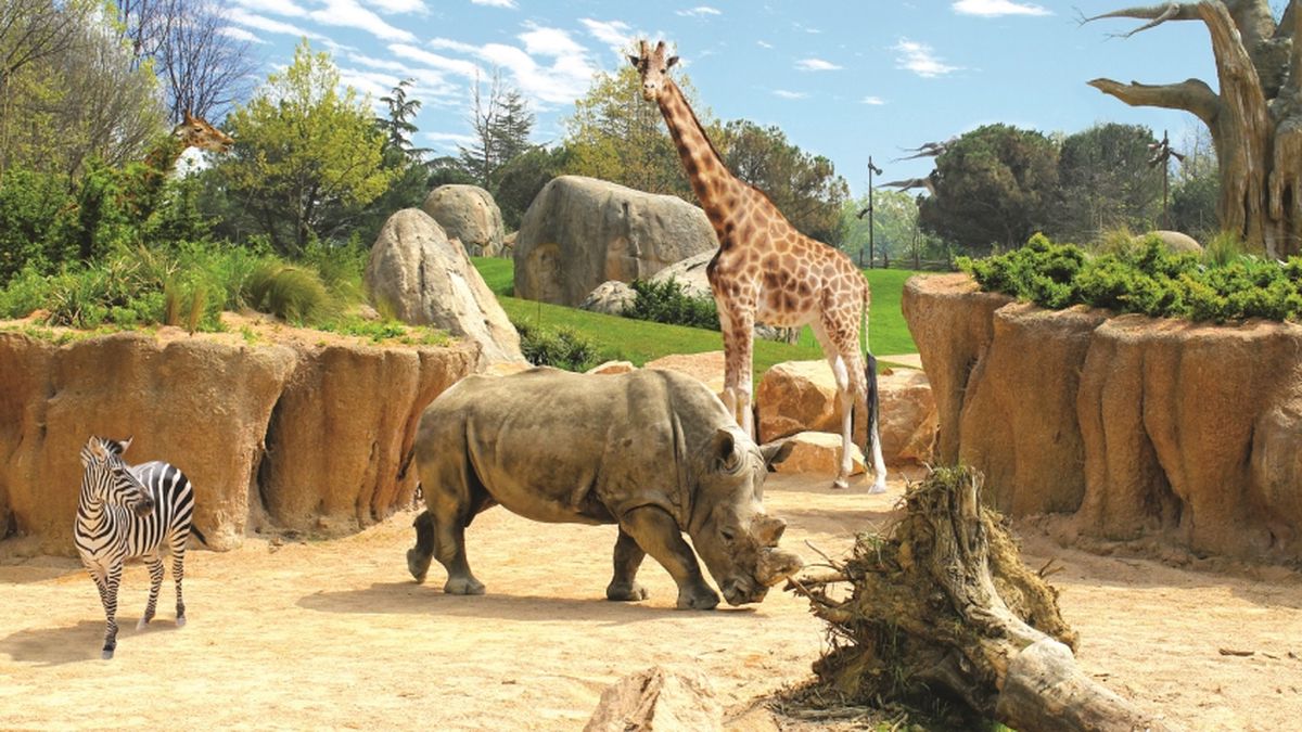   - Zoom Torino a Cumiana