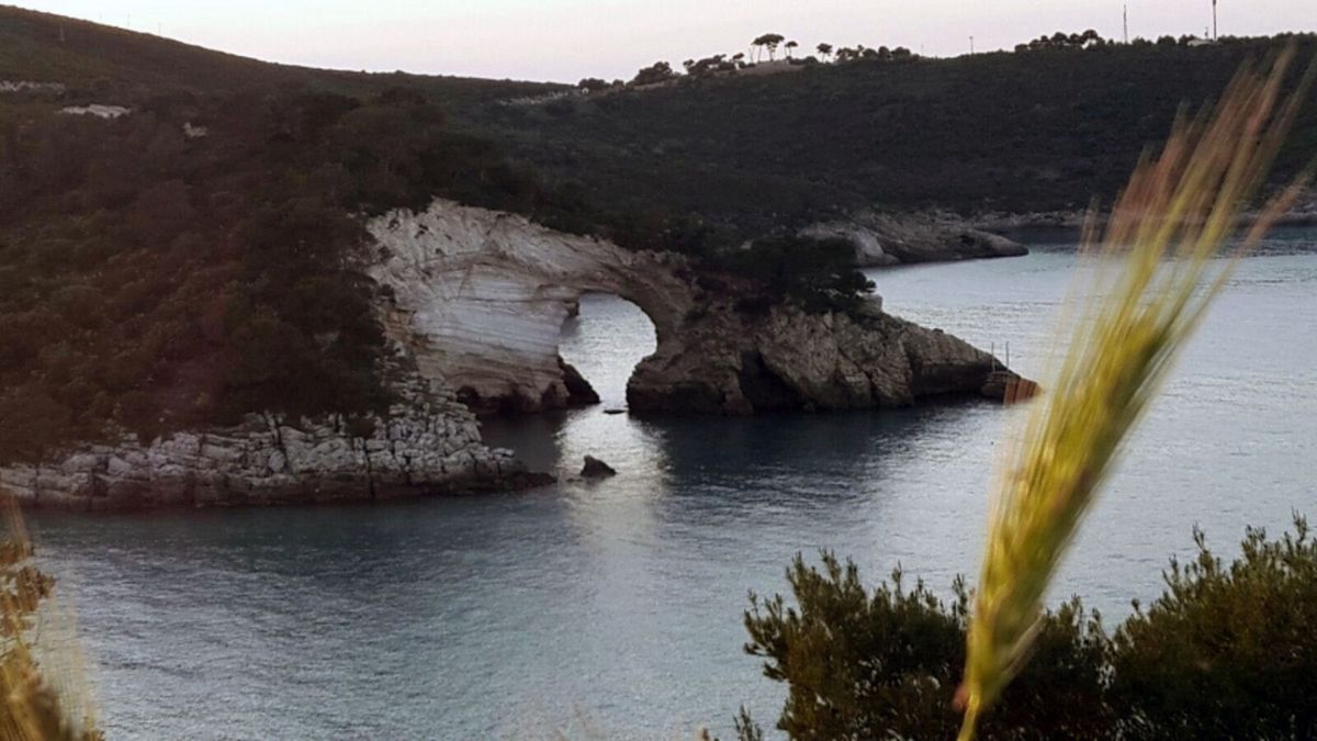   - Villaggio Elisena a Vieste