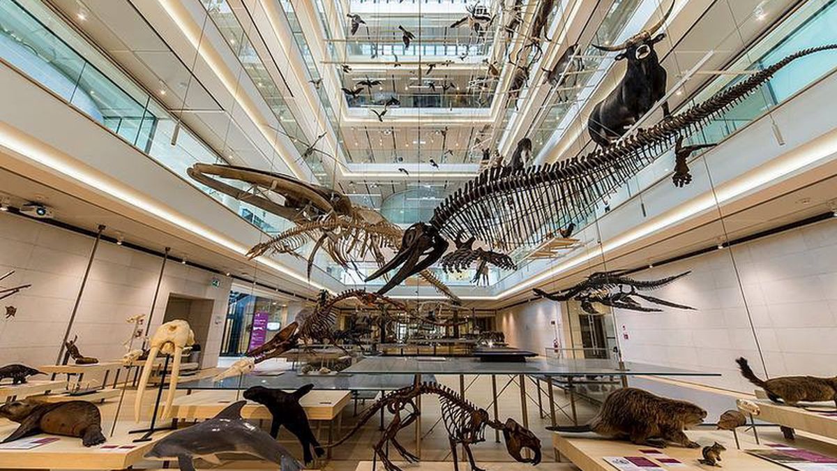 Museo MUSE a Trento Its4kids