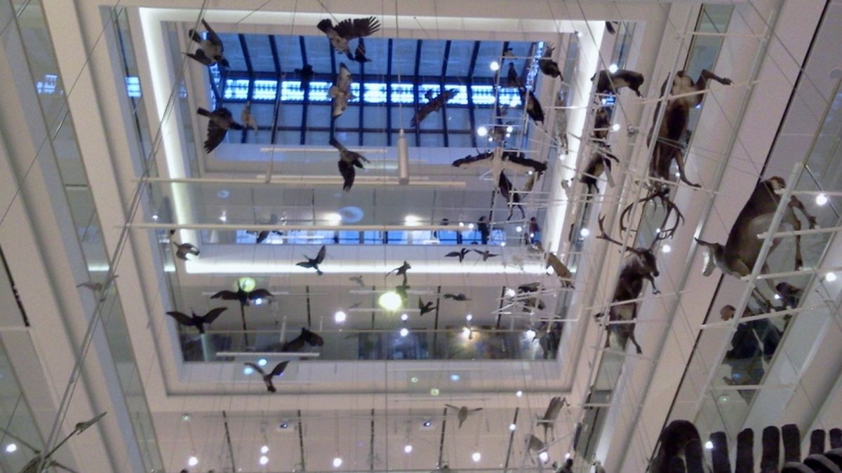  Interno del MuSe - Museo MUSE a Trento