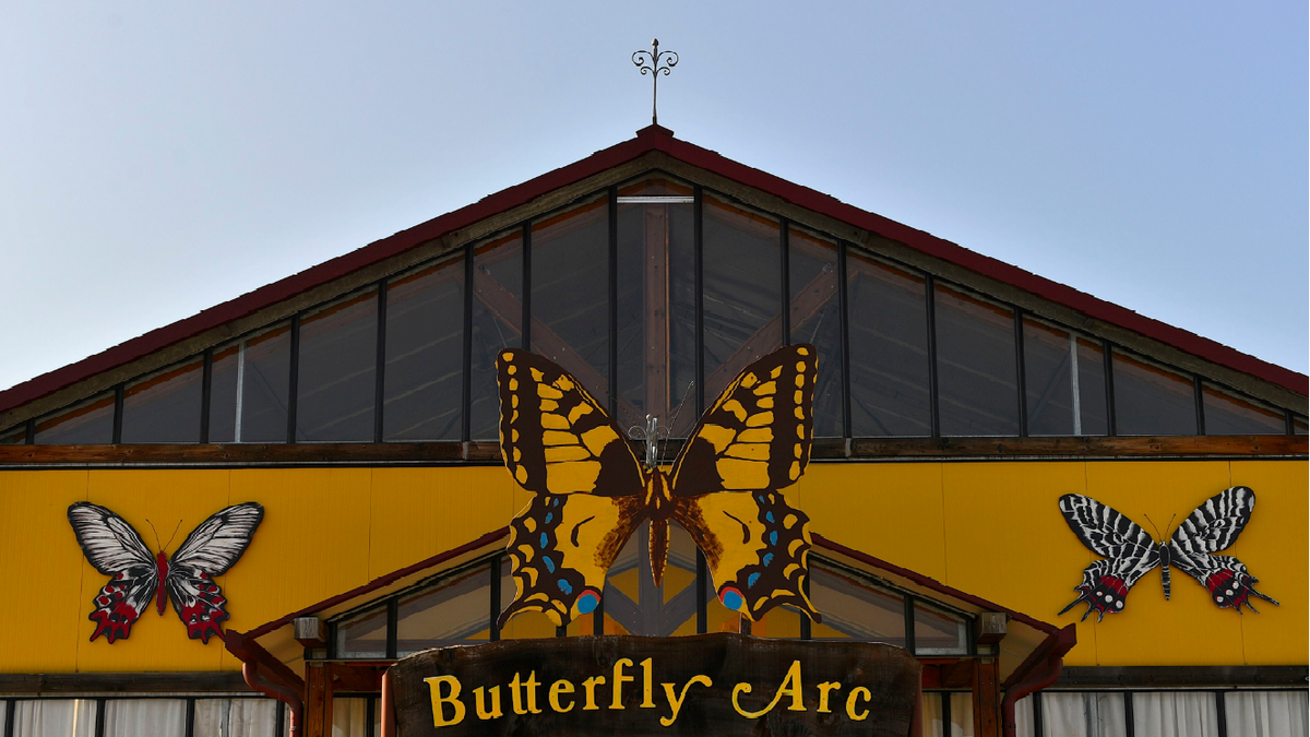   - Butterfly Arc - Casa delle Farfalle e Bosco delle Fate a Montegrotto Terme