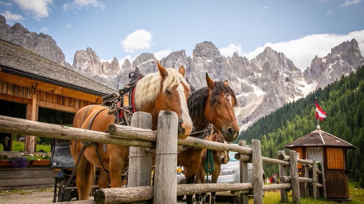   - Hotel La Perla a Valle di Primiero