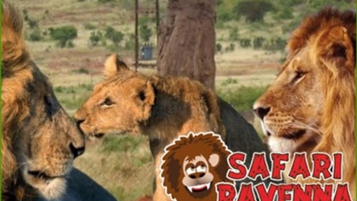   - Zoo Safari Ravenna a  Località Mirabilandia – Savio di Ravenna