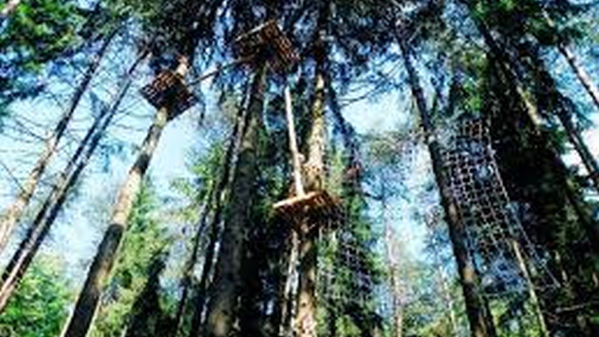   - Parco avventura in Pineta a Clusone