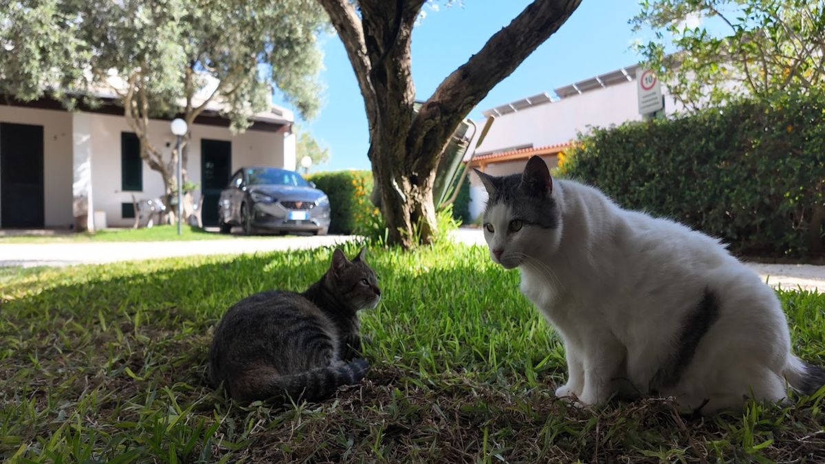  Pet Friends - Lilybeo Village Camping- Residence a Marsala