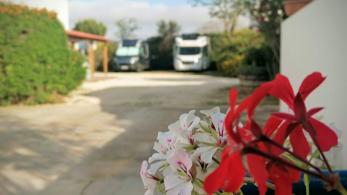   - Lilybeo Village Camping- Residence a Marsala