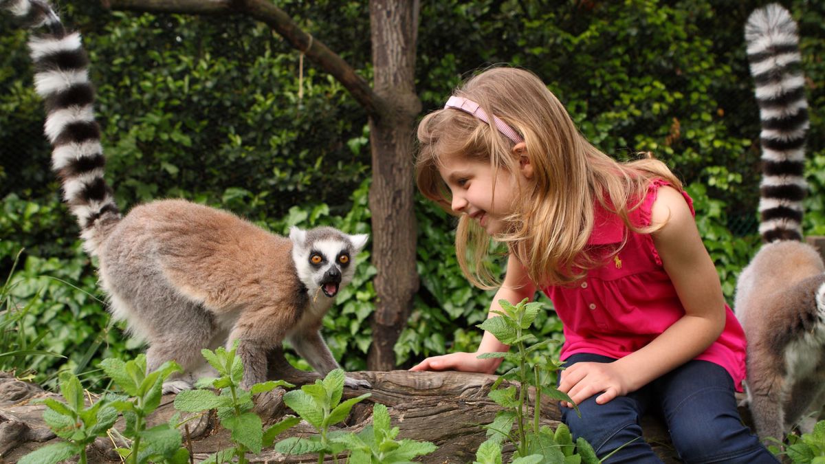   - Giardino Zoologico Di Pistoia a Pistoia