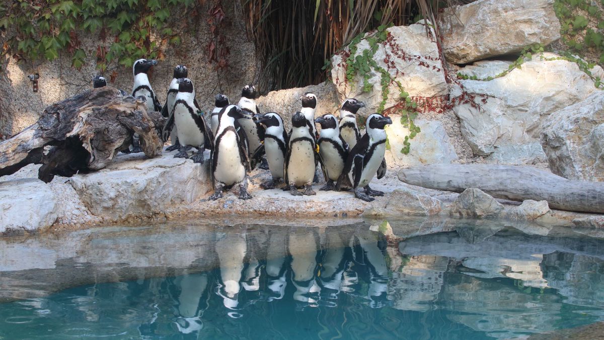   - Giardino Zoologico Di Pistoia a Pistoia