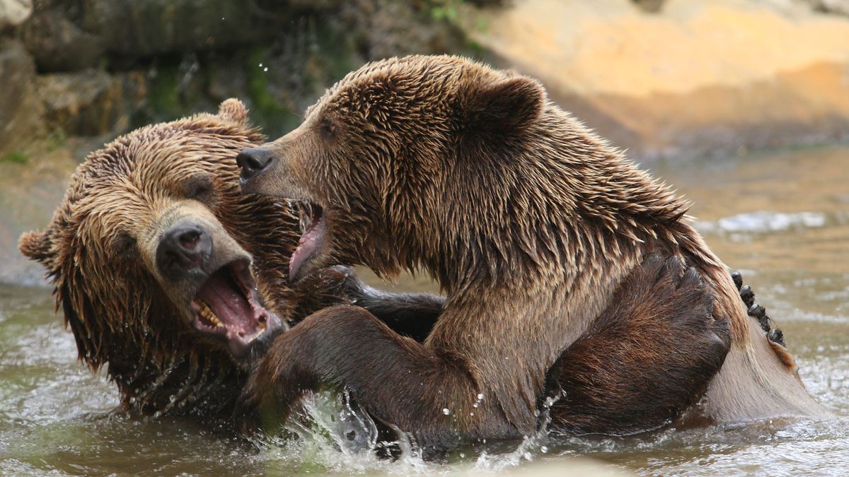   - Giardino Zoologico Di Pistoia a Pistoia
