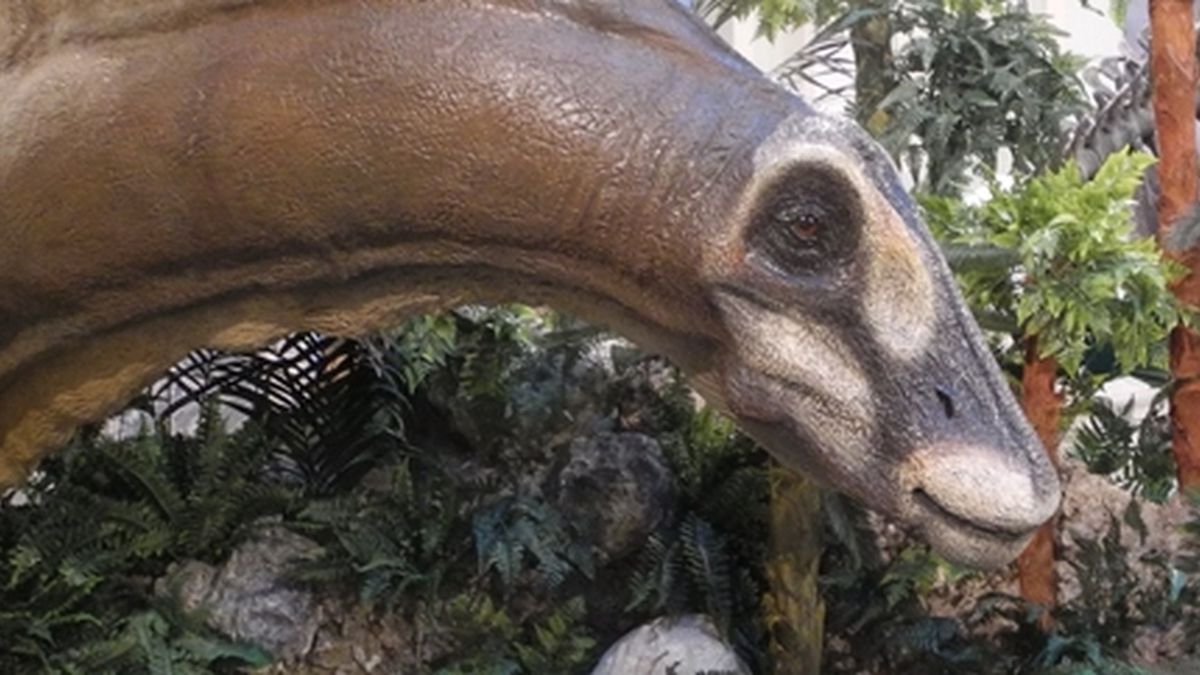   - Museo di Storia Naturale G. Doria  a Genova