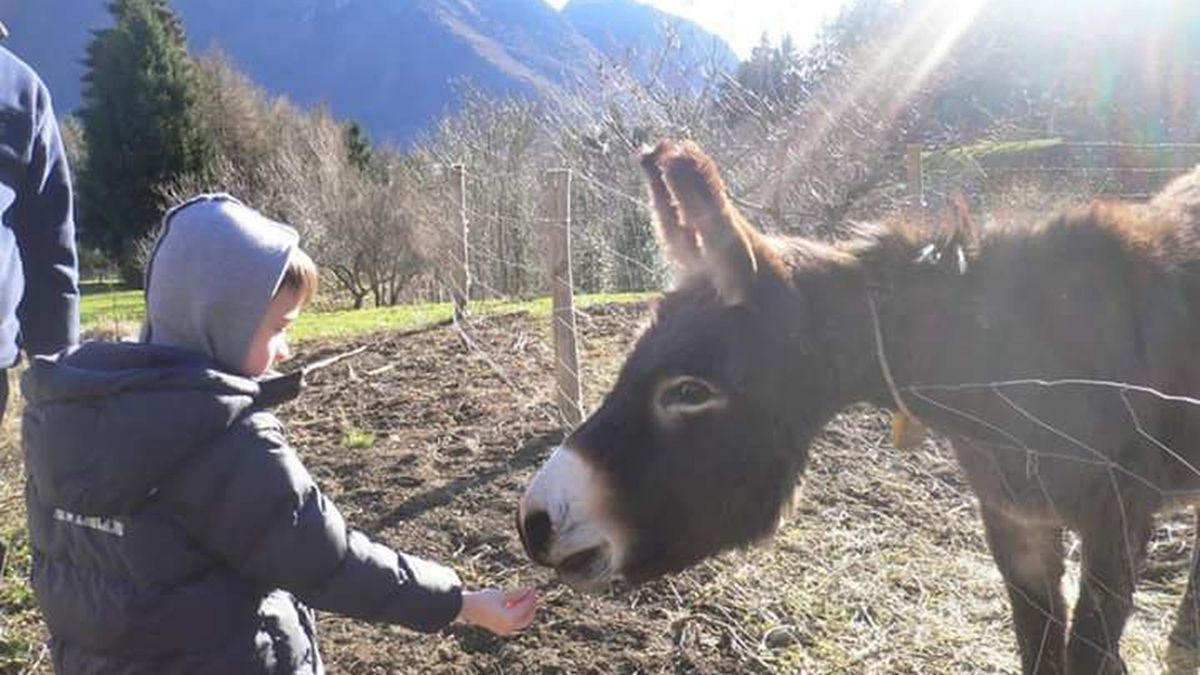   - Agriturismo Bianconiglio a Zone