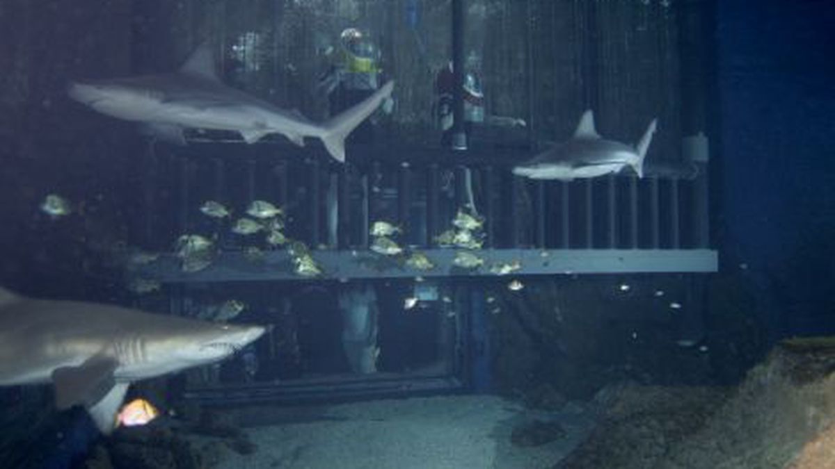   - Marineland a Antibes