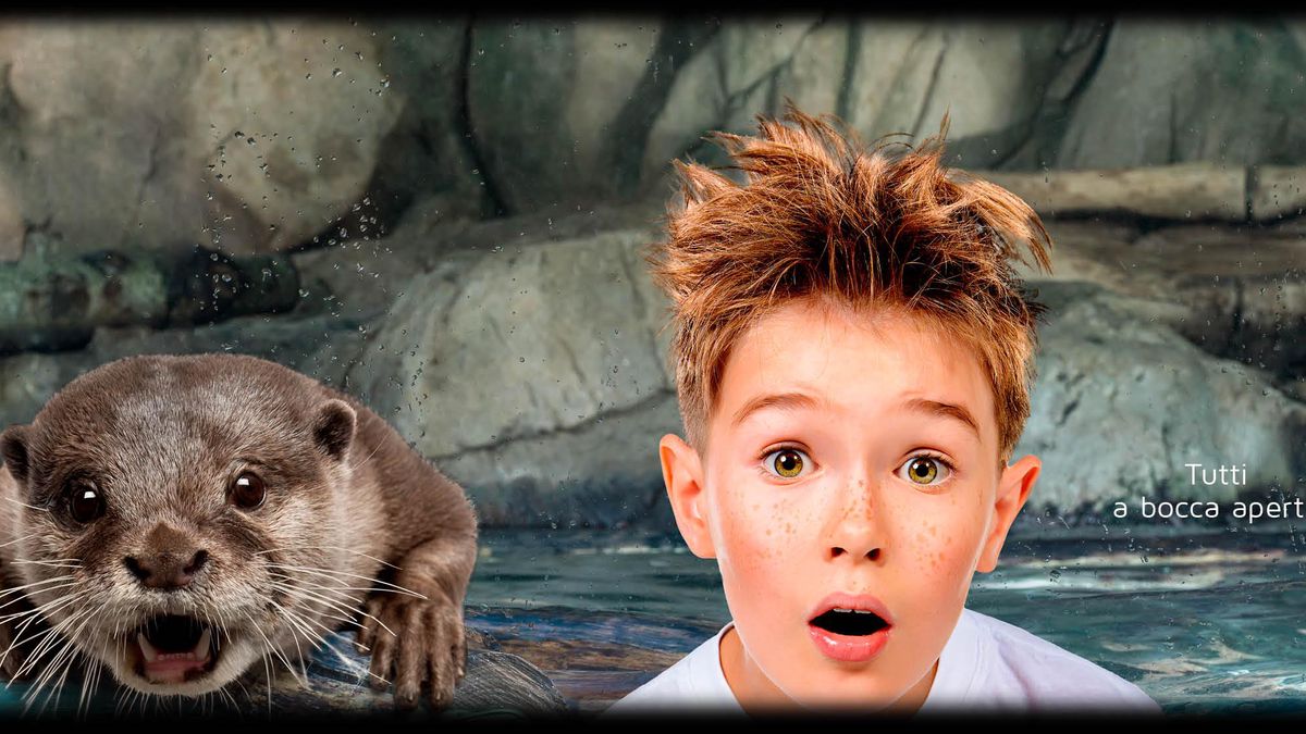  Acquario di Cattolica - Acquario di Cattolica a Cattolica