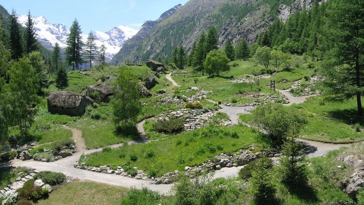   - Giardino Botanico Alpino Paradisia a Cogne