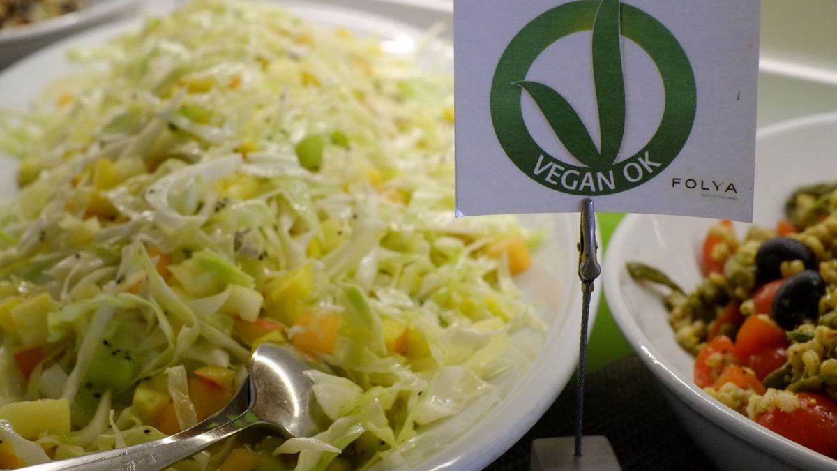   - OXYGEN LIFESTYLE HOTEL a Viserbella di Rimini