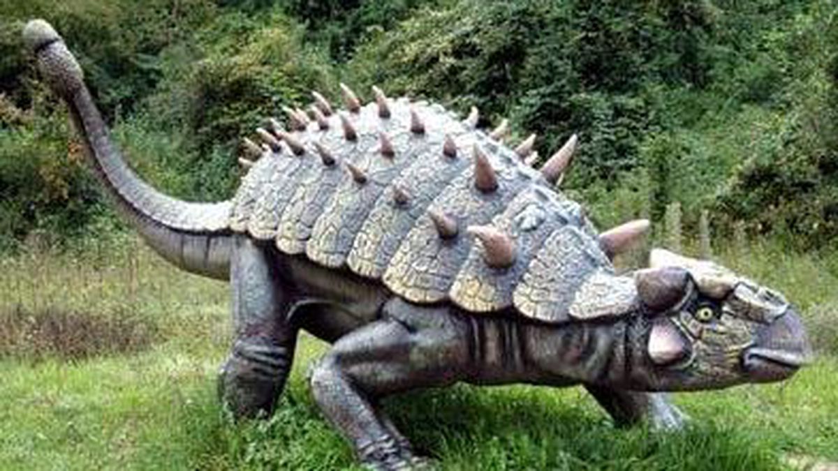   - Le Pietre del Drago a Matelica