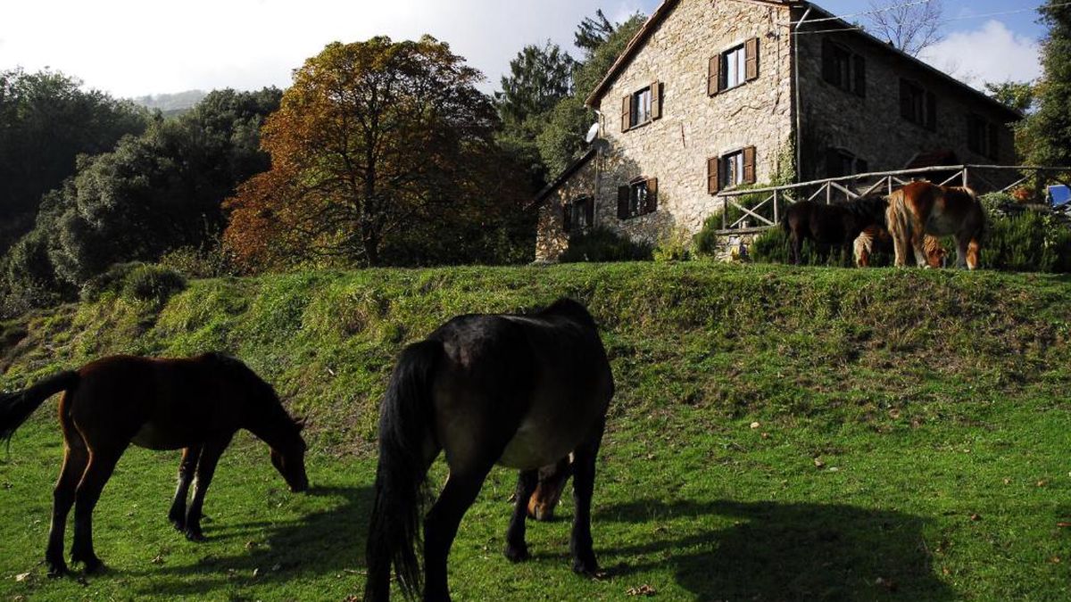   - Agriturismo Giandriale a Tavarone