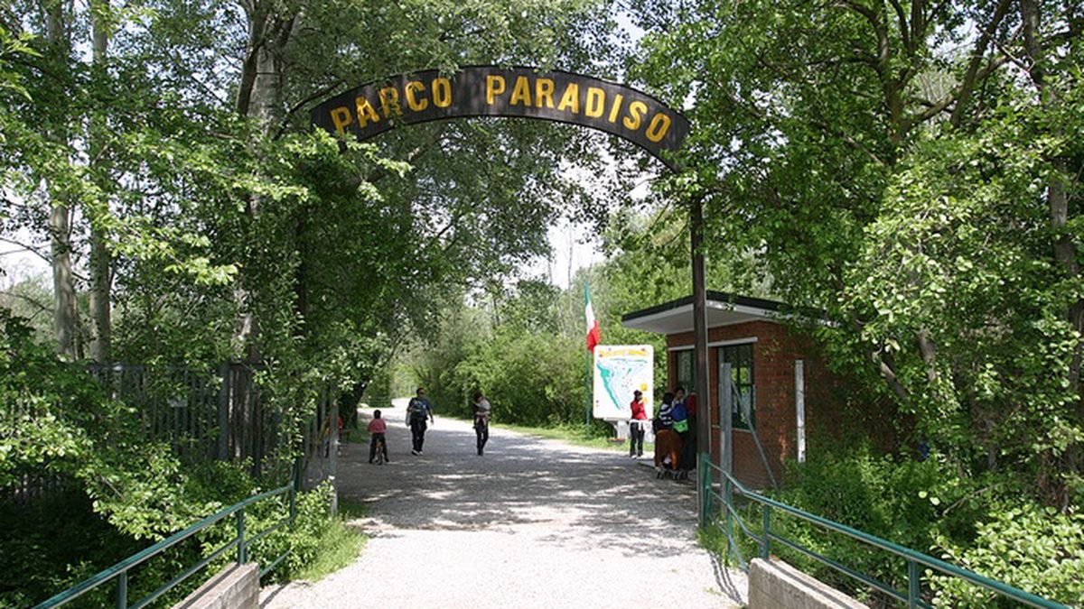   - parco ittico paradiso a Zelo Buon Persico